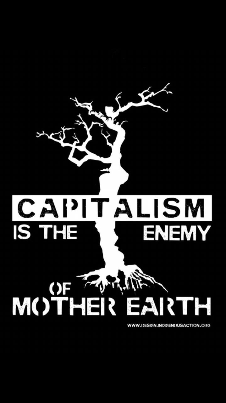 Black background with a barren white tree. In front of it is written "Capitalism (black in white box) is the mother of mother Earth (in white writing) below the website of the picture: www.design.indigenousaction.org