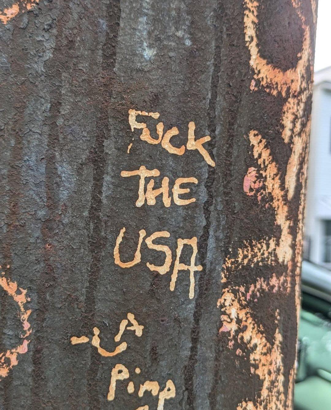 "FUCK THE USA" is legible on a dark surface in a close up photo