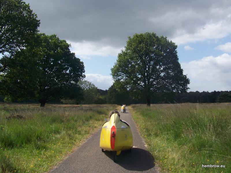 Heading through the heath